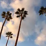 Orlando אדחה