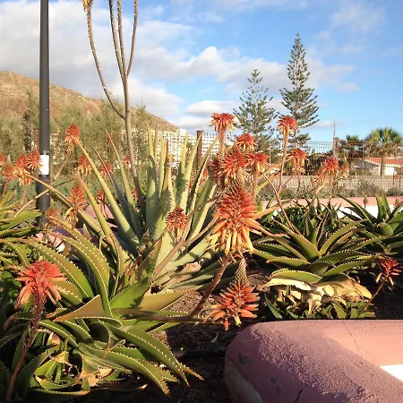 Orlando Appartement Costa Adeje (Tenerife)