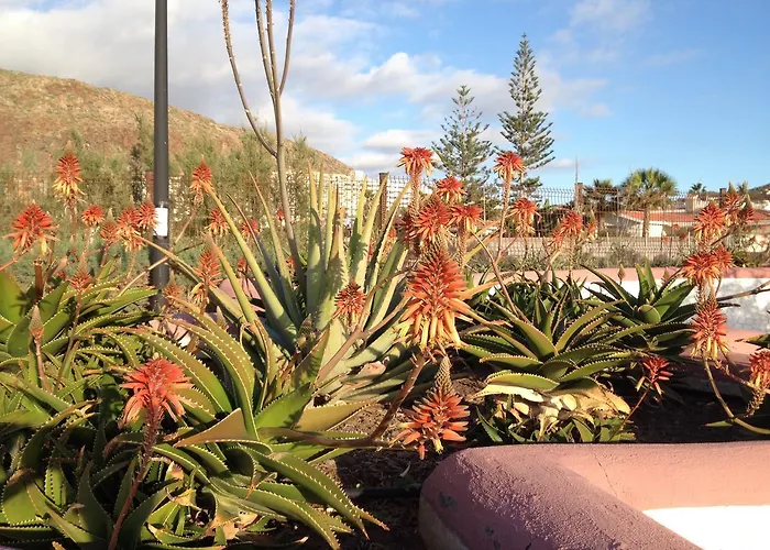 Orlando Appartamento Costa Adeje (Tenerife)