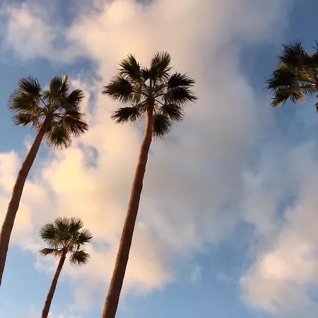 Orlando Costa Adeje (Tenerife)